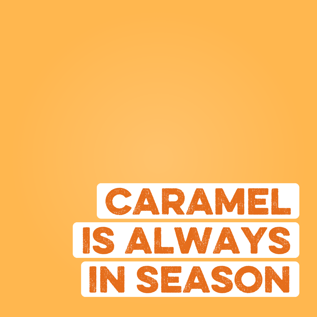 Clean Simple Eats Protein Powder: Caramel Toffee (30 Serving Bag) - Image 3
