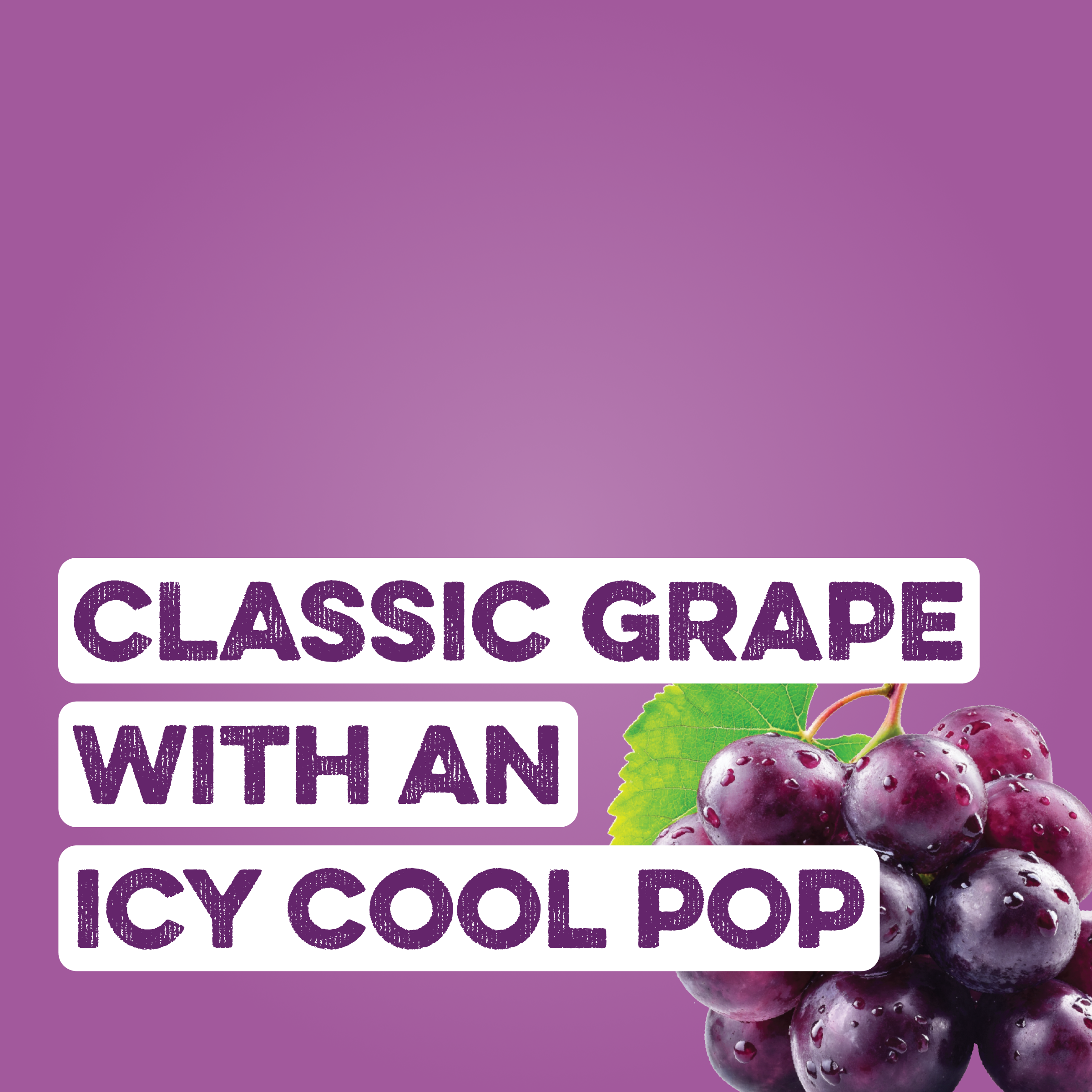 Clean Simple Eats Clear Protein Soda: Classic Grape (12 Pack) - Image 2
