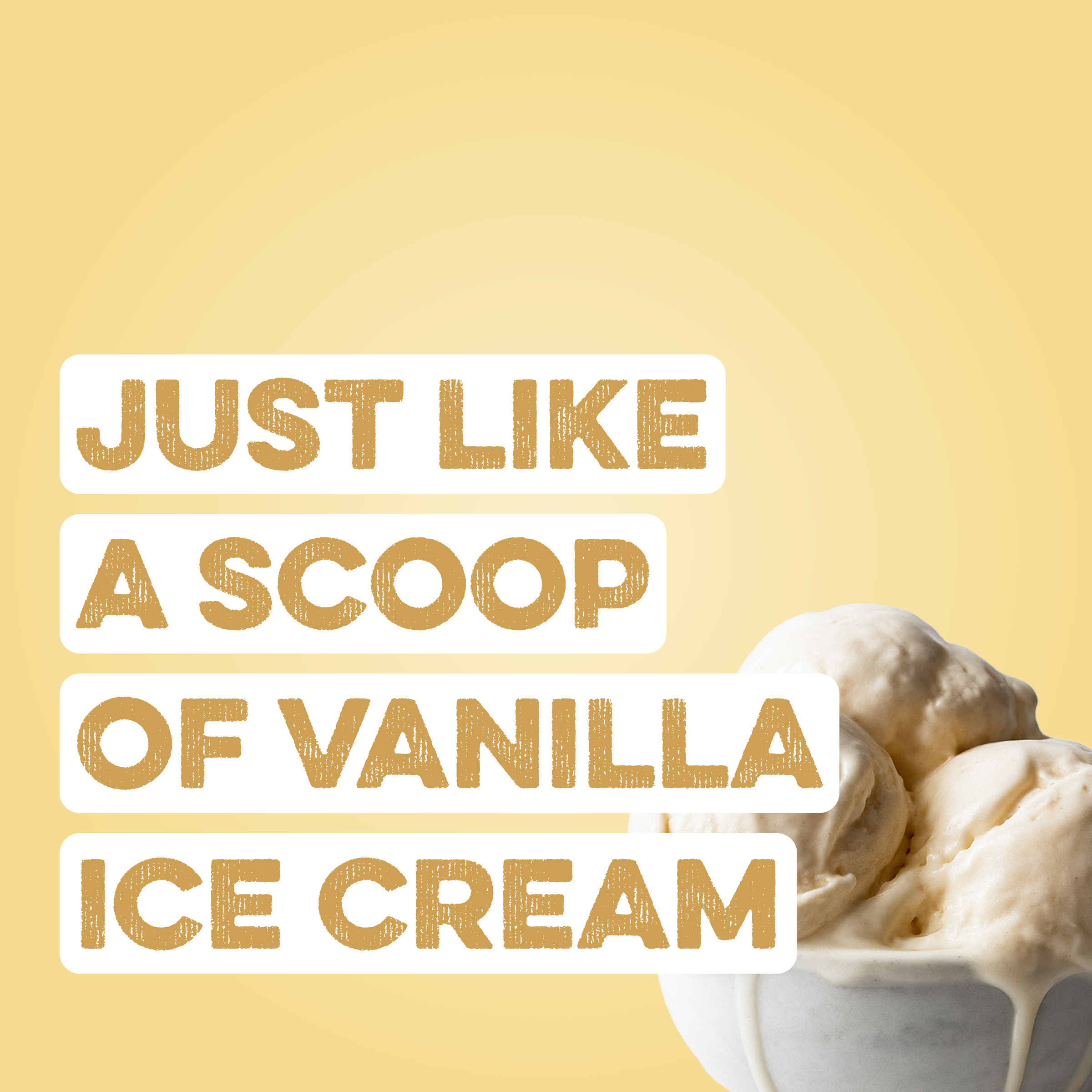 Clean Simple Eats Protein Powder: Simply Vanilla (Single Serving Stick Pack Sample) - Image 2