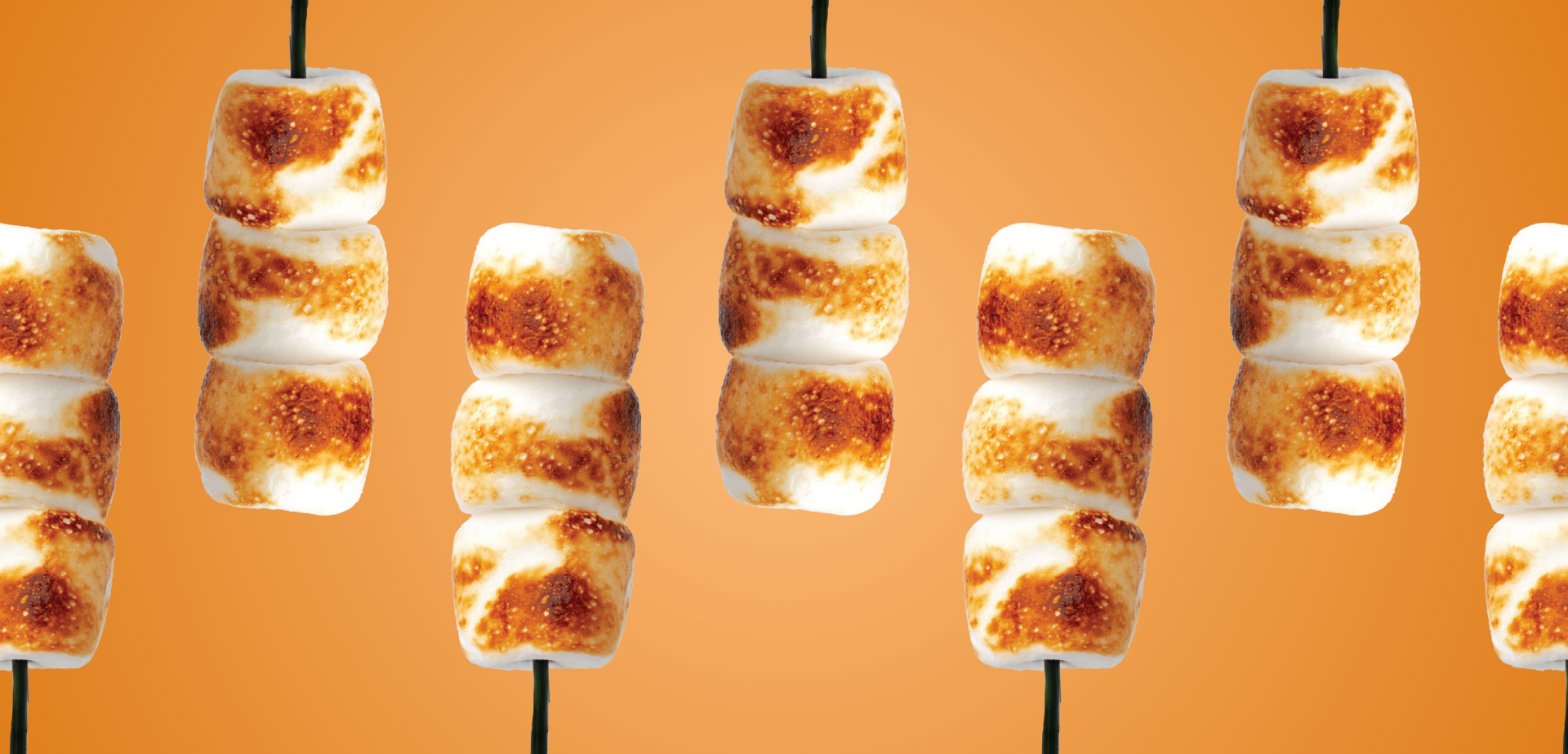 Clean Simple Eats Protein Powder: Toasted Marshmallow (30 Serving) - Image 4