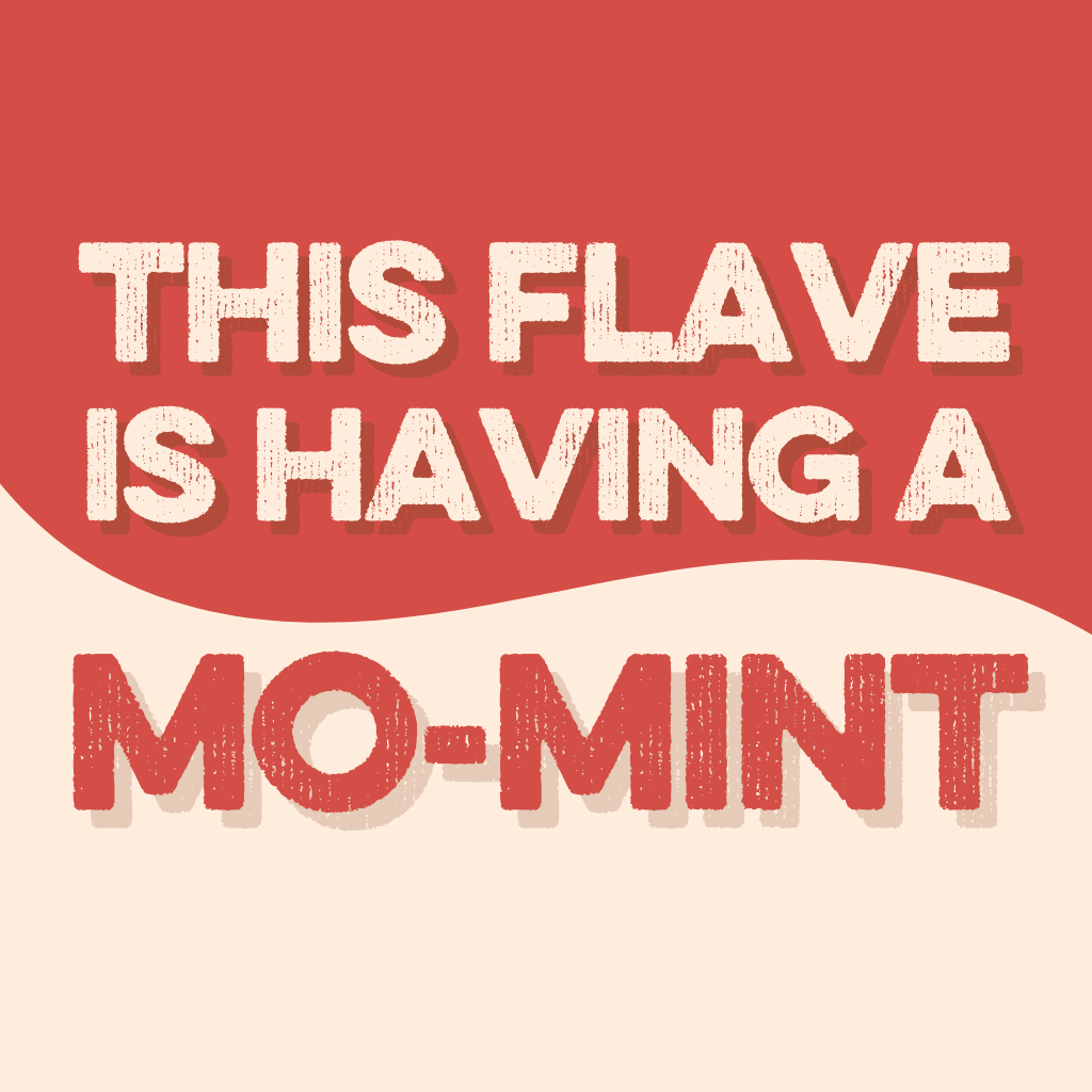 Clean Simple Eats Protein Powder: White Chocolate Peppermint (10 Single Serving Stick Packs) - Image 3